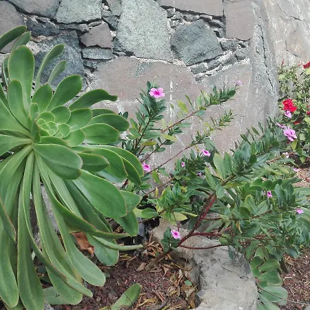 Gasthof Finca Bella Vista 3*