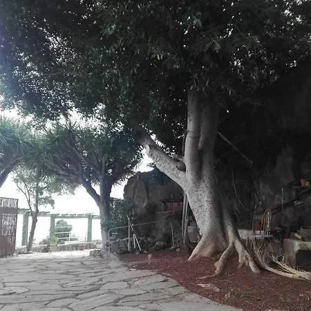 Гостевой дом Finca Bella Vista 3*